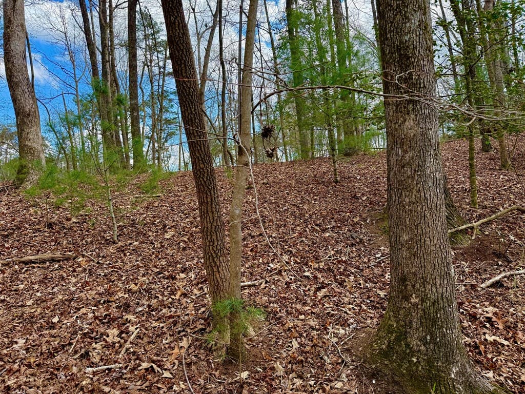 739 Hiawassee Court, Ellijay GA 30540 - Photo