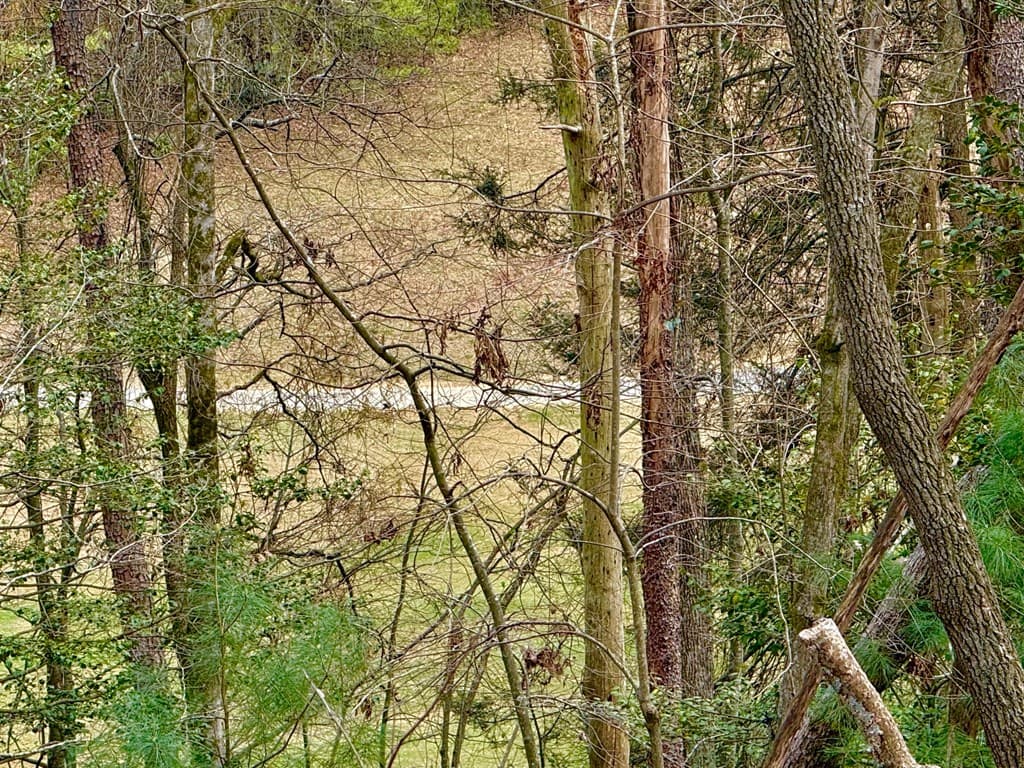 739 Hiawassee Court, Ellijay GA 30540 - Photo