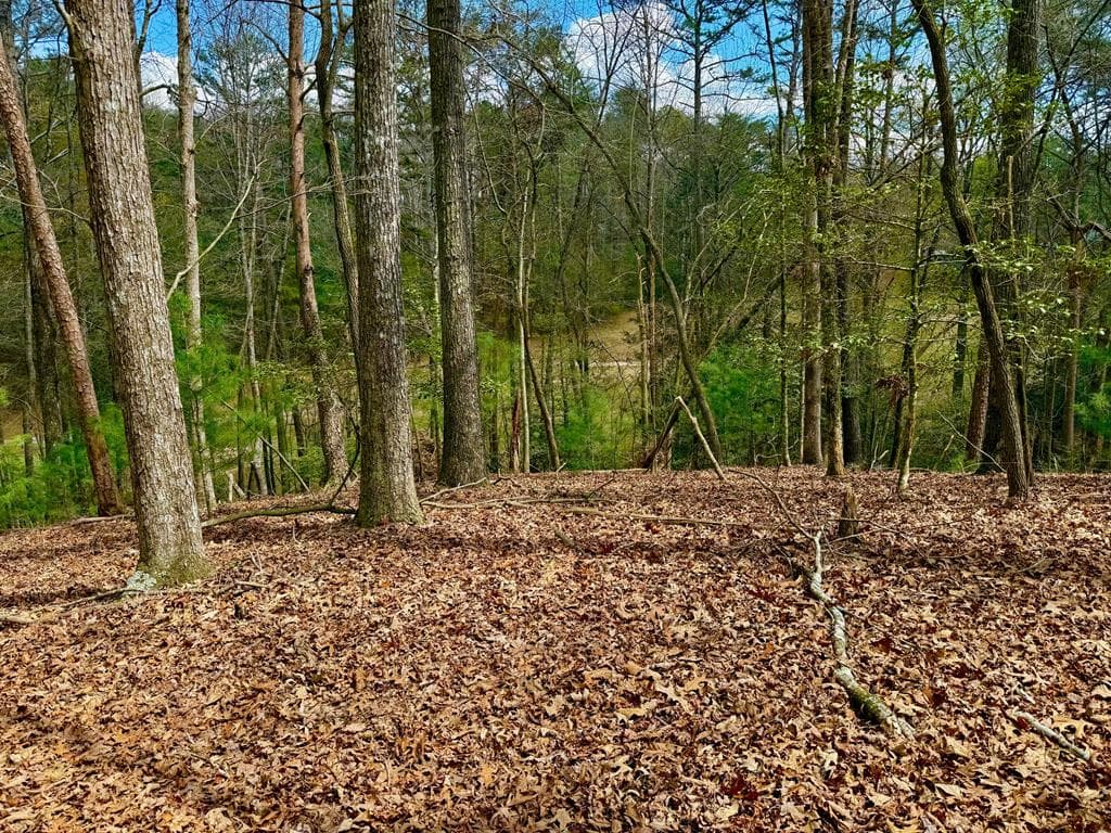 739 Hiawassee Court, Ellijay GA 30540 - Primary photo