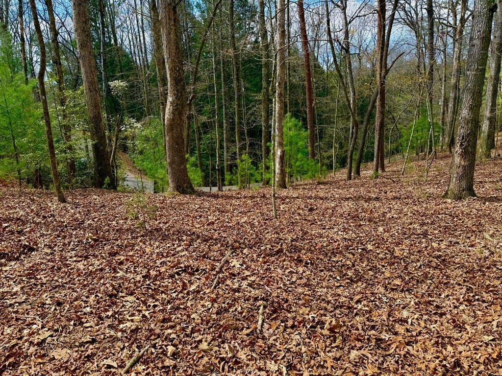 739 Hiawassee Court, Ellijay GA 30540 - Photo