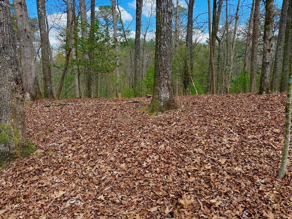 739 Hiawassee Court, Ellijay GA 30540 - Photo