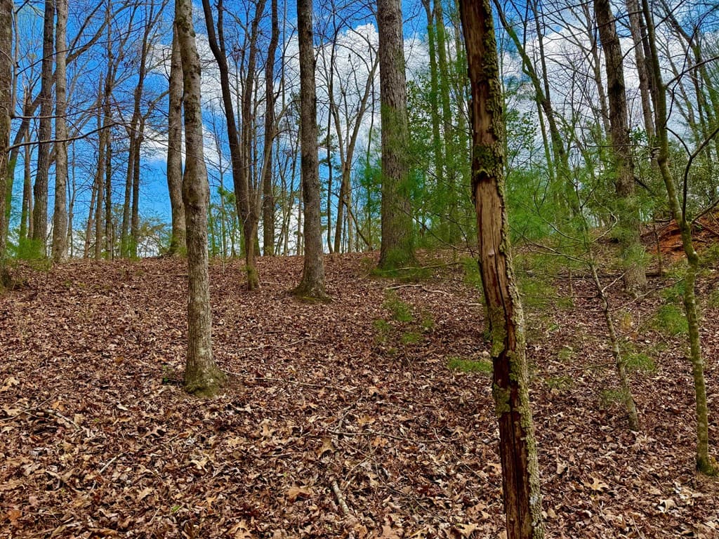 739 Hiawassee Court, Ellijay GA 30540 - Photo