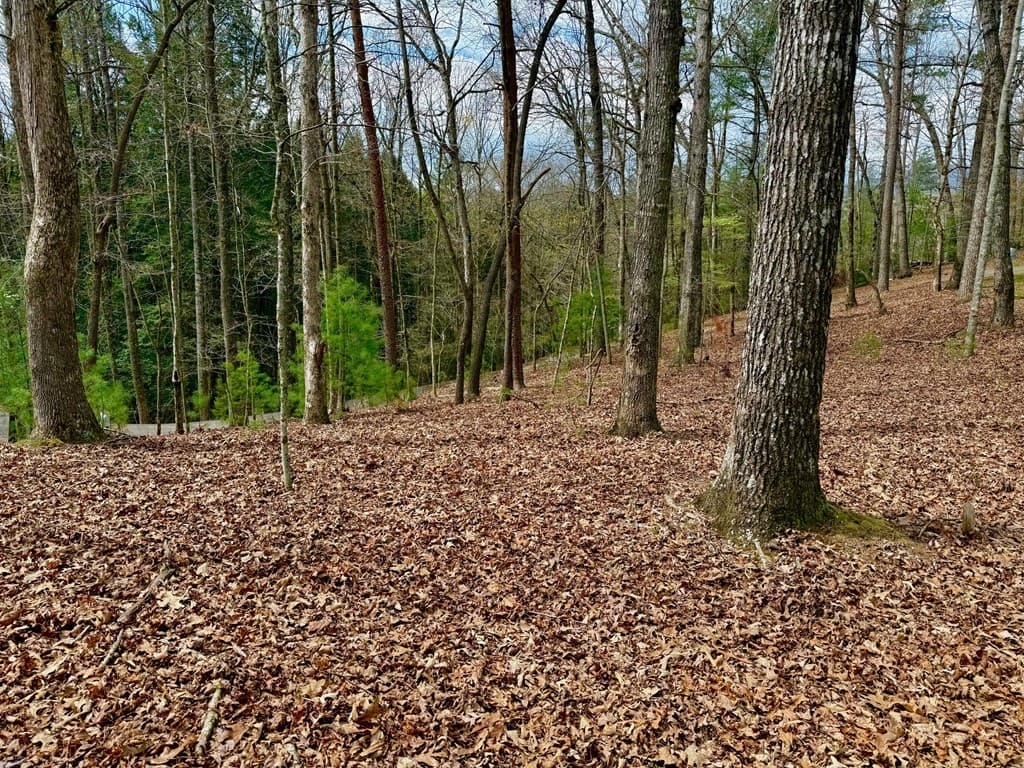 739 Hiawassee Court, Ellijay GA 30540 - Photo