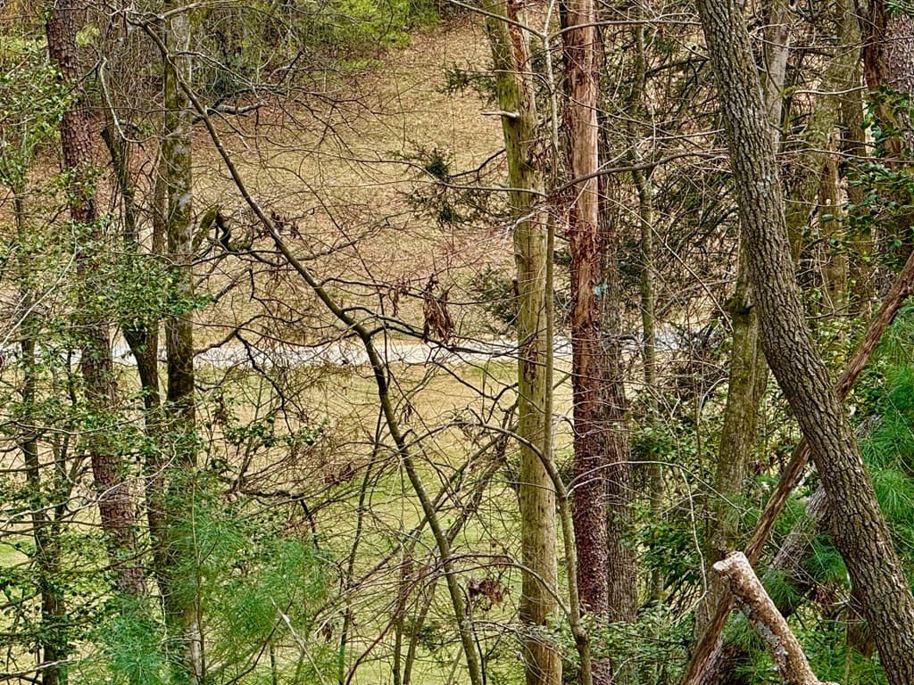 739 Hiawassee Court, Ellijay GA 30540 - Photo