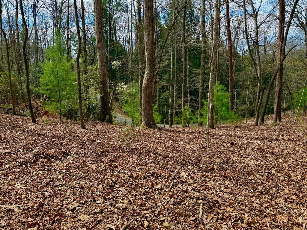 739 Hiawassee Court, Ellijay GA 30540 - Photo