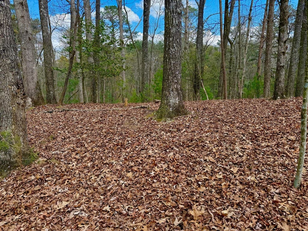 739 Hiawassee Court, Ellijay GA 30540 - Photo