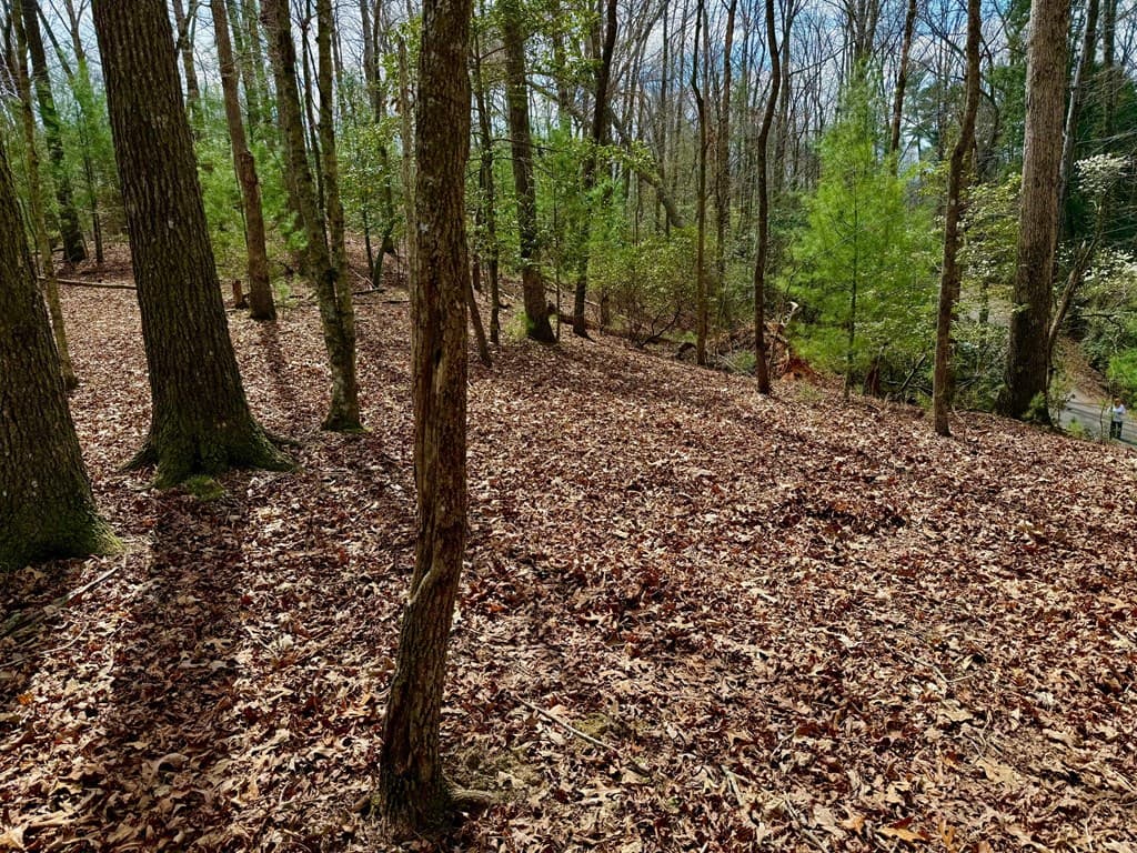 739 Hiawassee Court, Ellijay GA 30540 - Photo