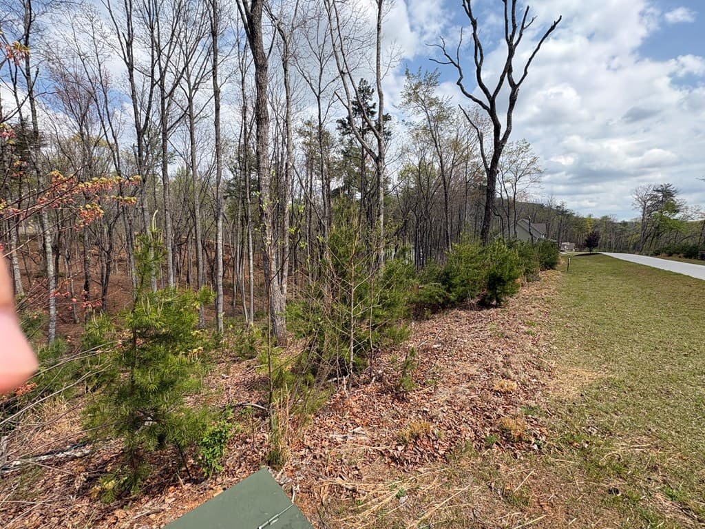 21 Yonah Mountain Drive, Sautee Nacoochee GA 30571 - Photo