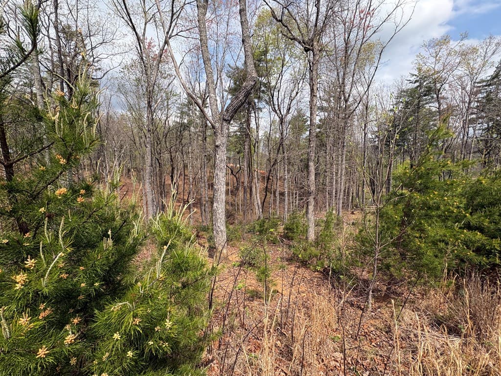 21 Yonah Mountain Drive, Sautee Nacoochee GA 30571 - Photo