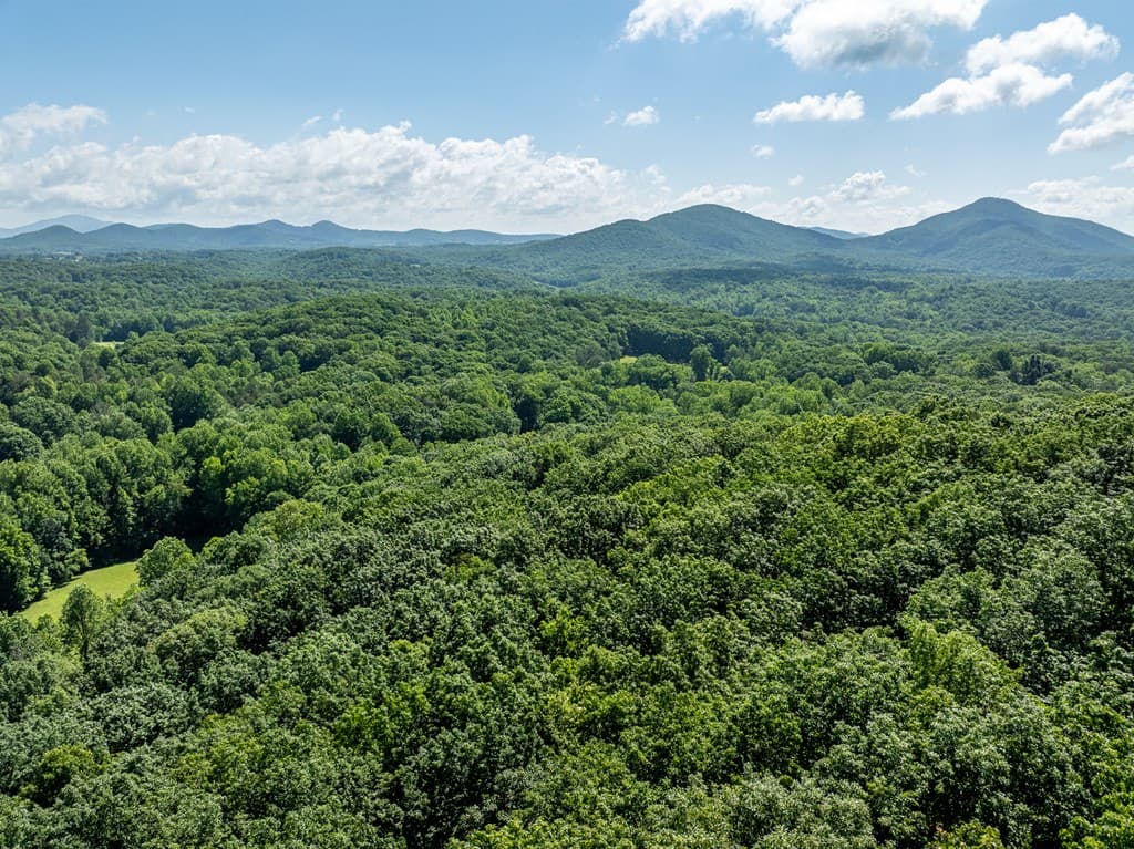 3.65 AC Emory Stephens Rd., Dahlonega GA 30533 - Photo
