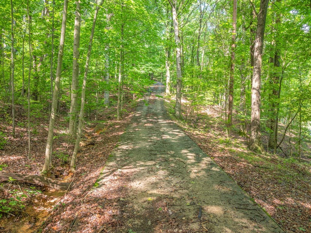 3.65 AC Emory Stephens Rd., Dahlonega GA 30533 - Photo