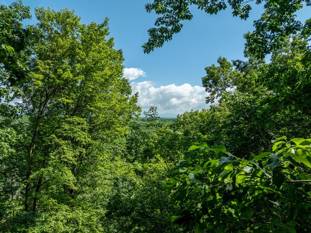 3.65 AC Emory Stephens Rd., Dahlonega GA 30533 - Photo
