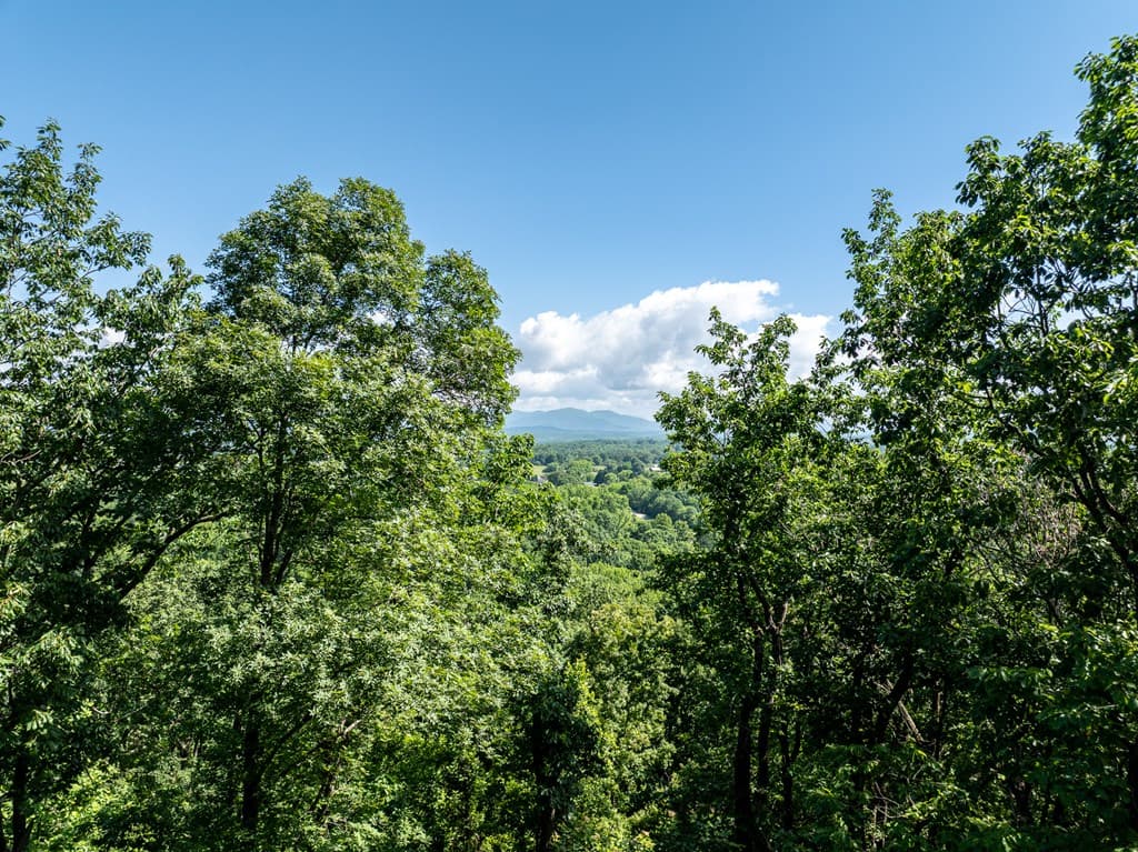 3.65 AC Emory Stephens Rd., Dahlonega GA 30533 - Photo