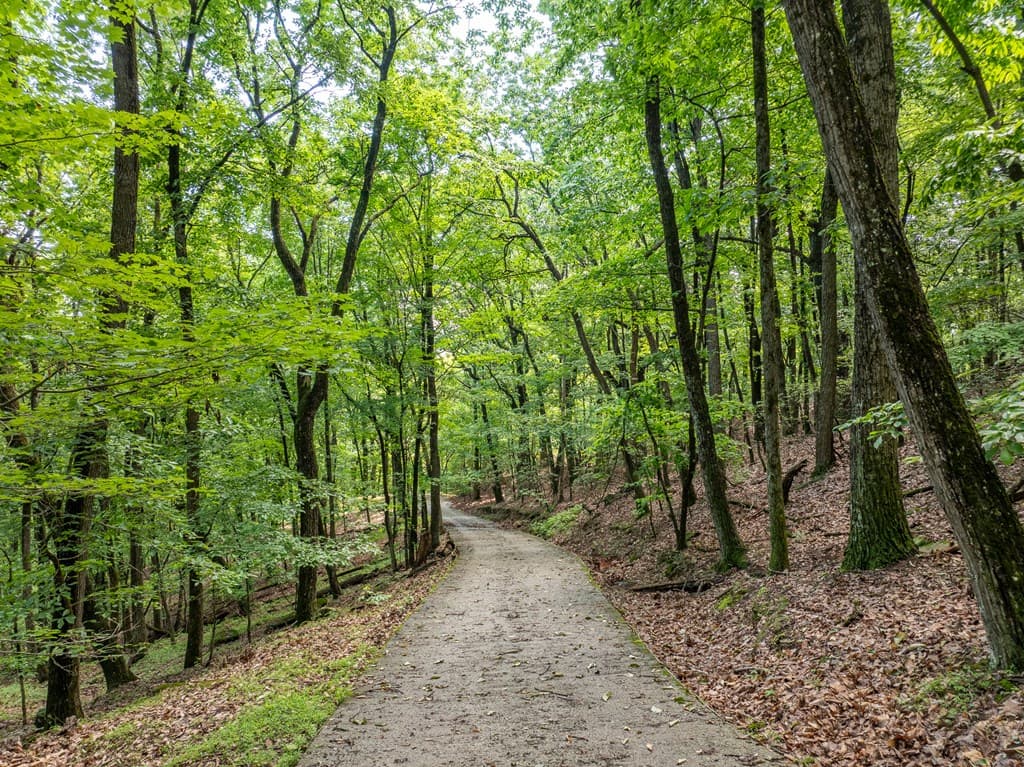 3.65 AC Emory Stephens Rd., Dahlonega GA 30533 - Photo