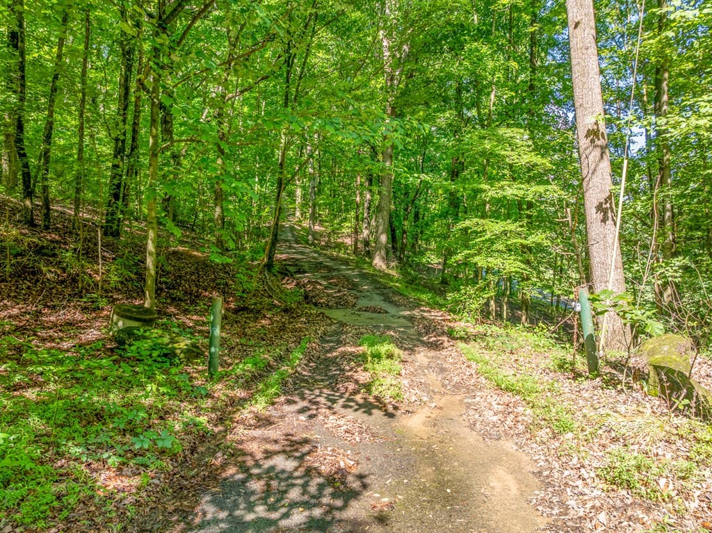 3.65 AC Emory Stephens Rd., Dahlonega GA 30533 - Photo