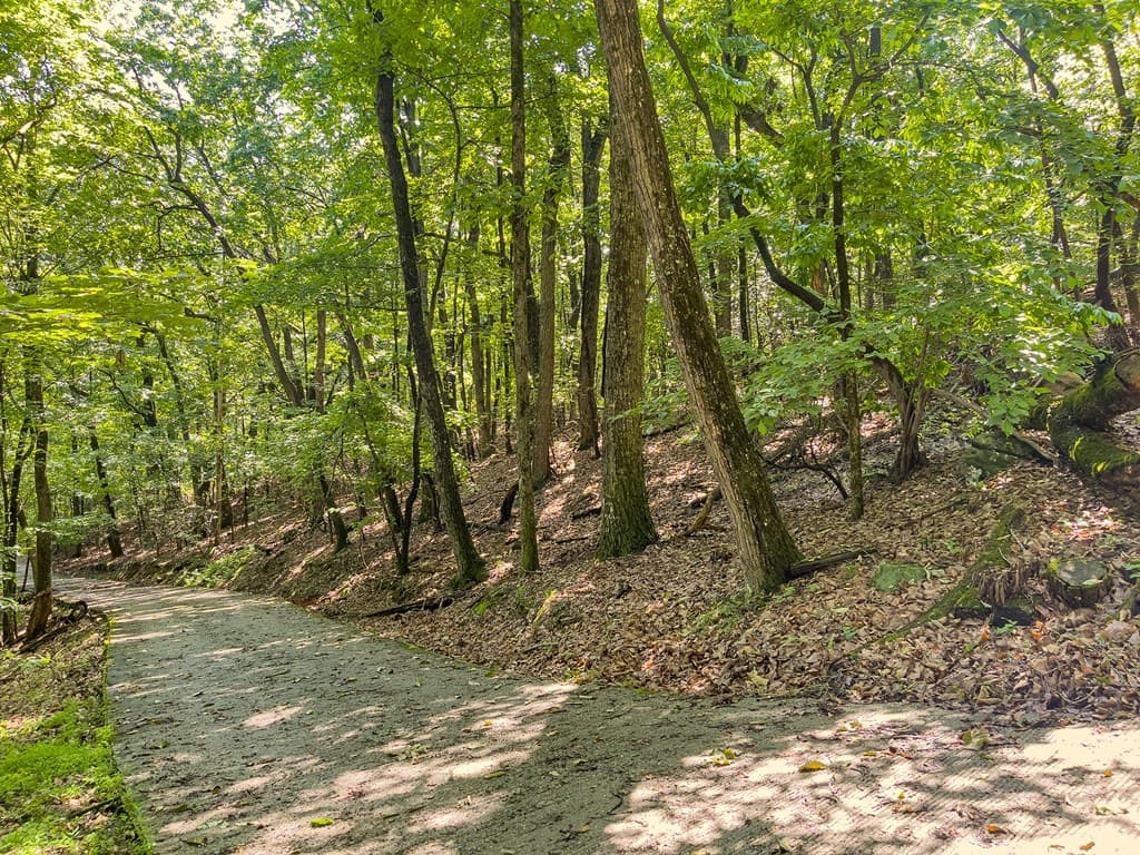 3.65 AC Emory Stephens Rd., Dahlonega GA 30533 - Photo