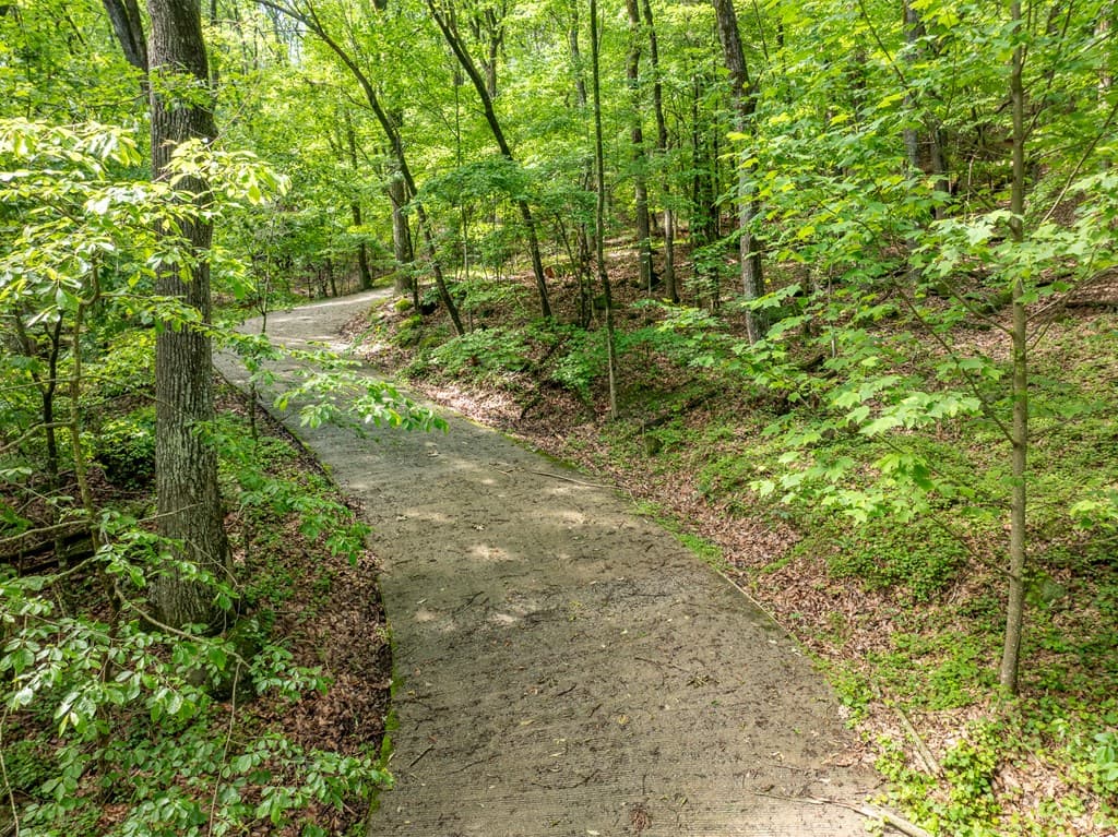 3.65 AC Emory Stephens Rd., Dahlonega GA 30533 - Photo