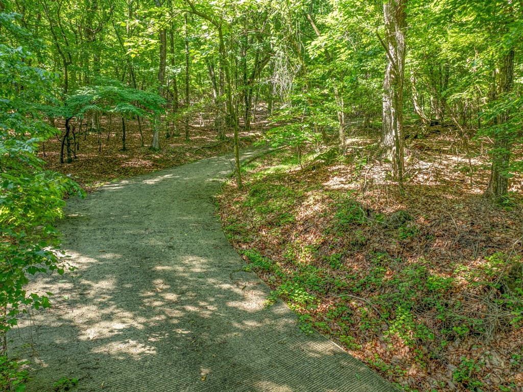 3.65 AC Emory Stephens Rd., Dahlonega GA 30533 - Photo