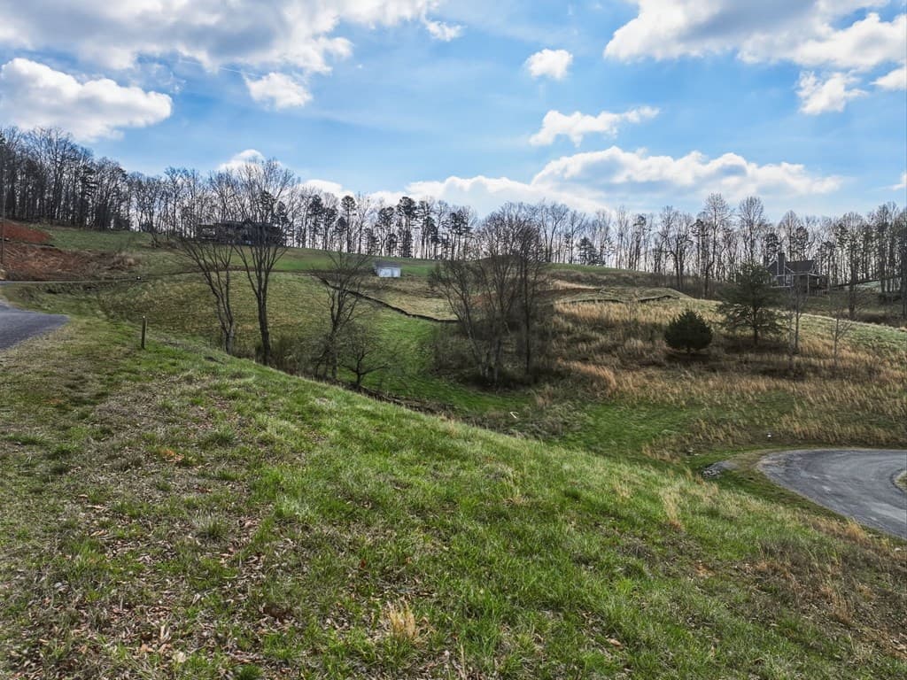 Lot 43 Big Valley Drive, Morganton GA 30560 - Photo