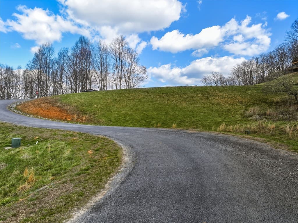 Lot 43 Big Valley Drive, Morganton GA 30560 - Photo