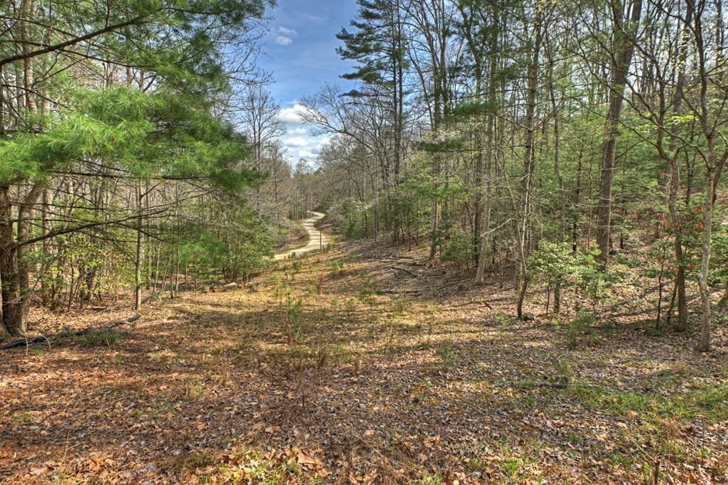 57 Meadow Hill, Morganton GA 30560 - Photo