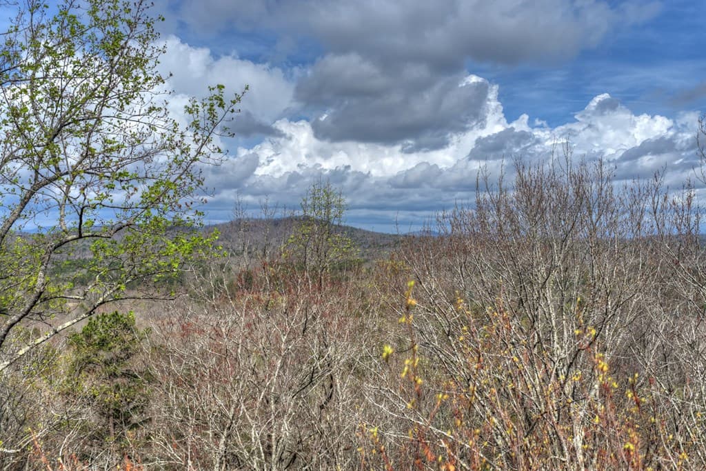 57 Meadow Hill, Morganton GA 30560 - Photo