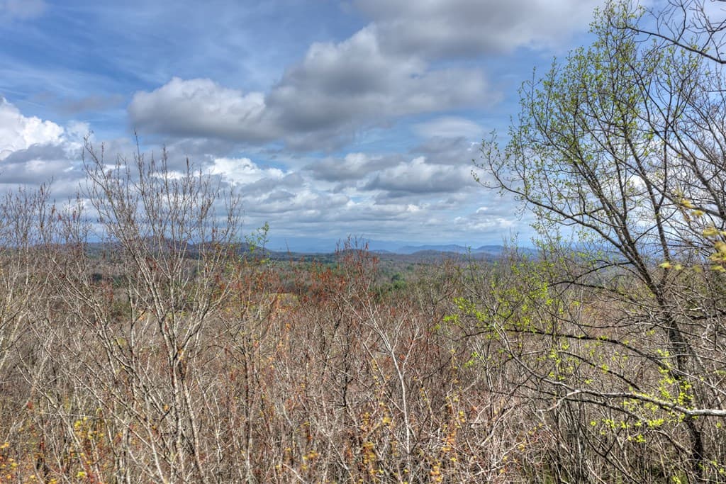 57 Meadow Hill, Morganton GA 30560 - Photo