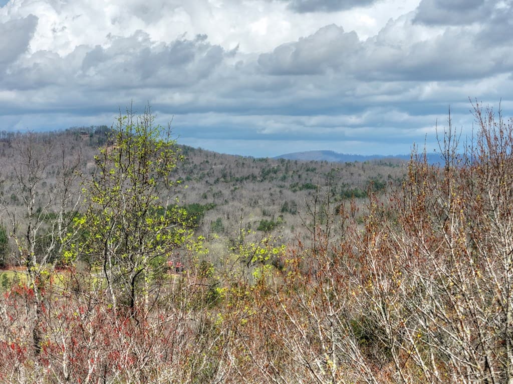 57 Meadow Hill, Morganton GA 30560 - Photo