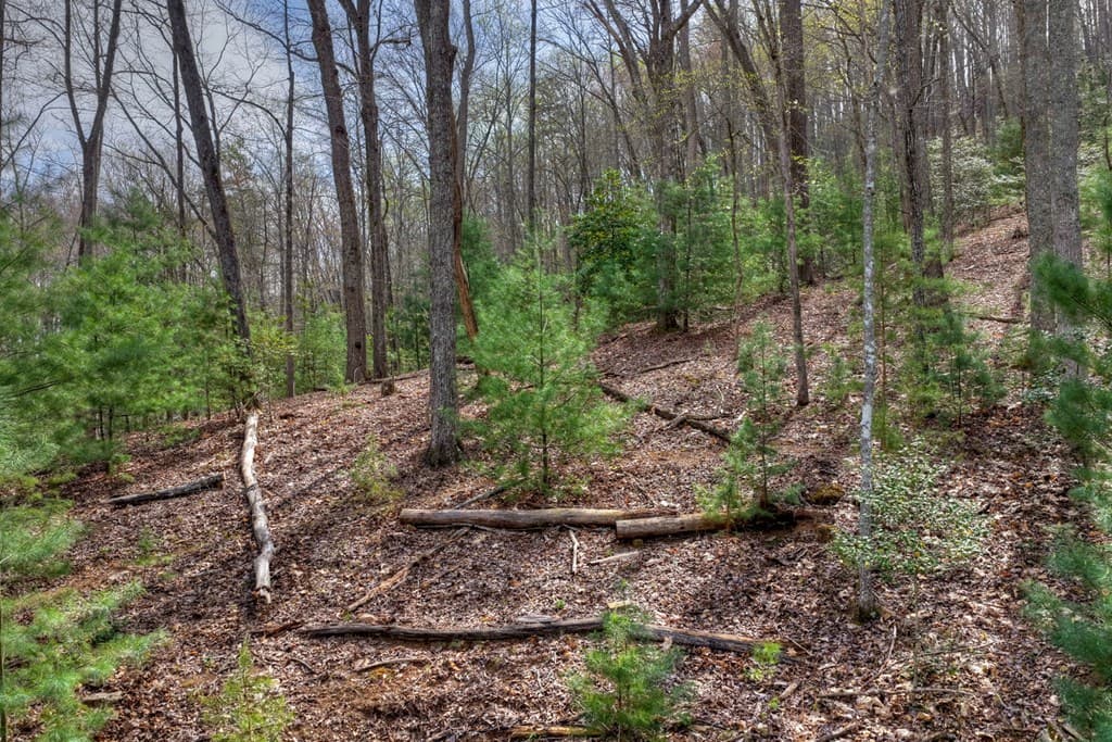 57 Meadow Hill, Morganton GA 30560 - Photo