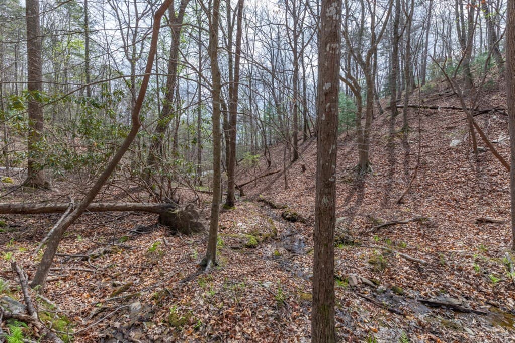 Lot 6B Glenridge Way, Ellijay GA 30540 - Photo