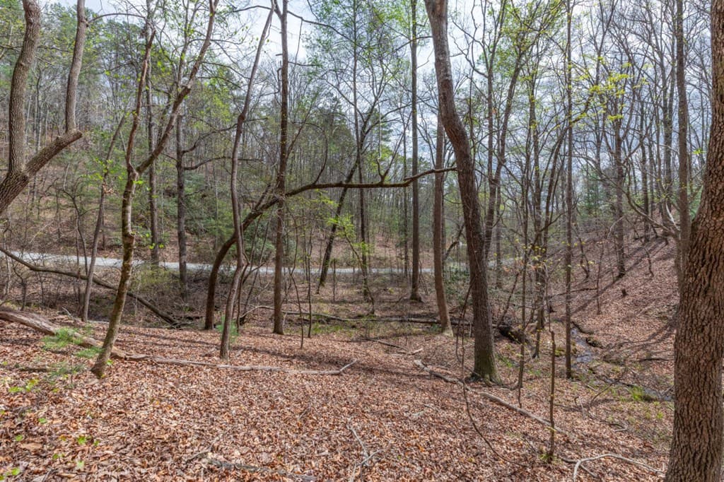 Lot 6B Glenridge Way, Ellijay GA 30540 - Photo