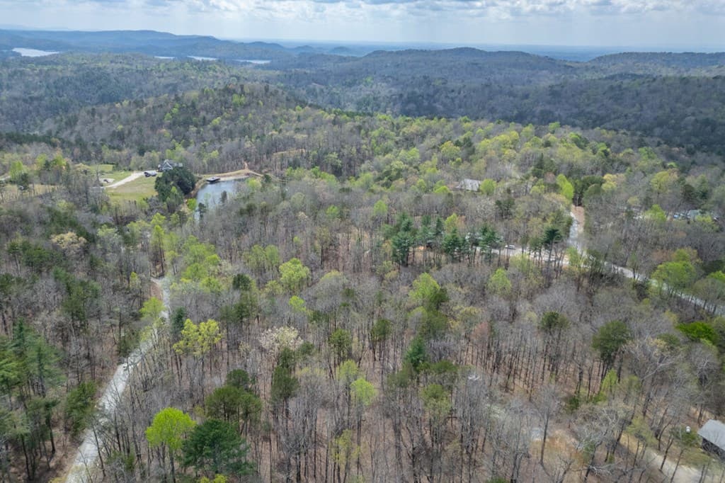 Lot 6B Glenridge Way, Ellijay GA 30540 - Photo