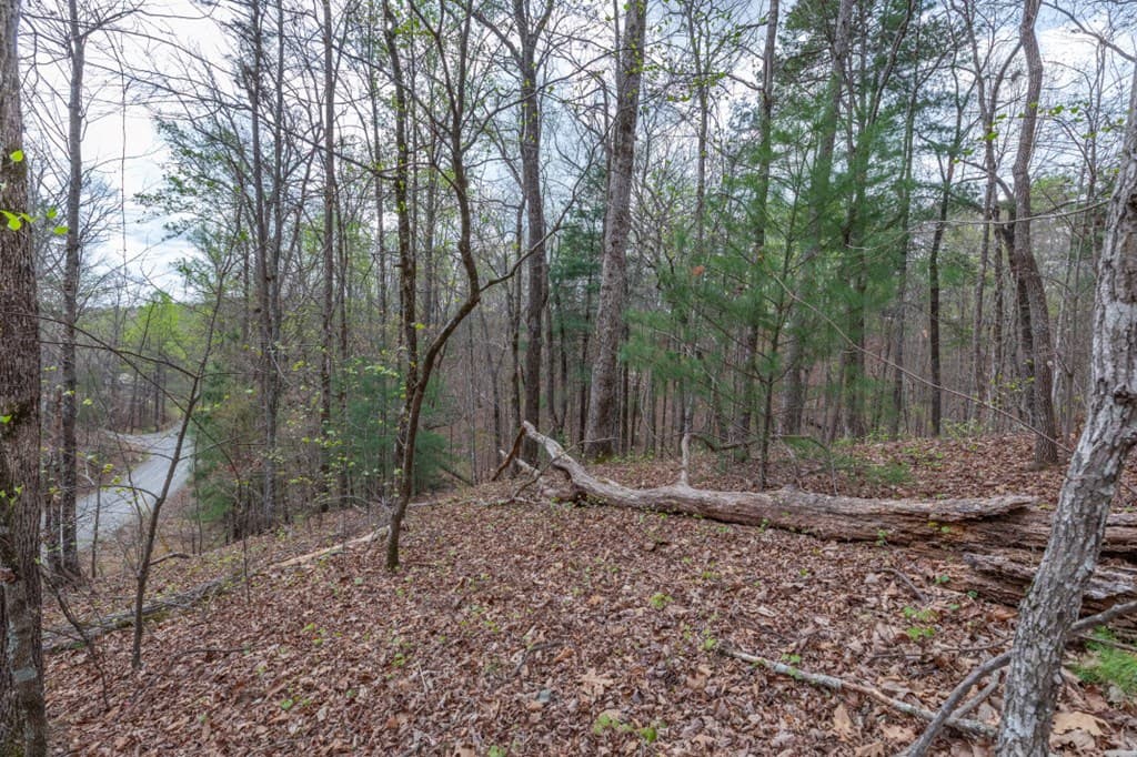 Lot 6B Glenridge Way, Ellijay GA 30540 - Photo