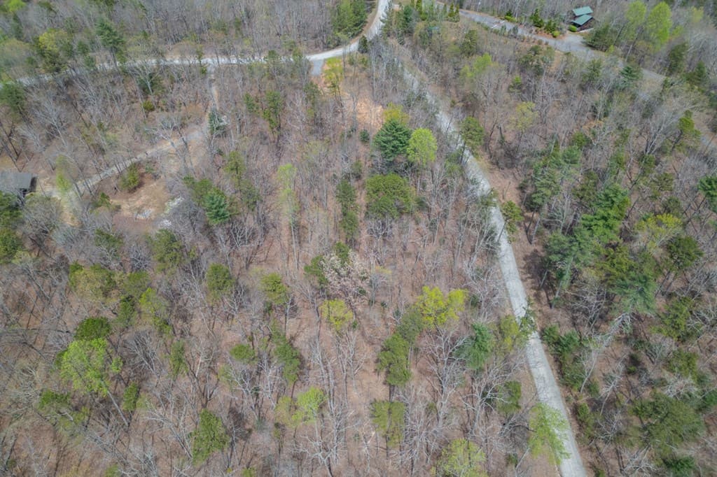Lot 6B Glenridge Way, Ellijay GA 30540 - Photo