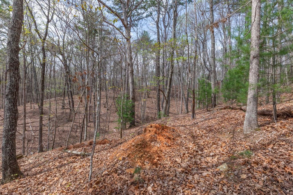 Lot 6B Glenridge Way, Ellijay GA 30540 - Photo