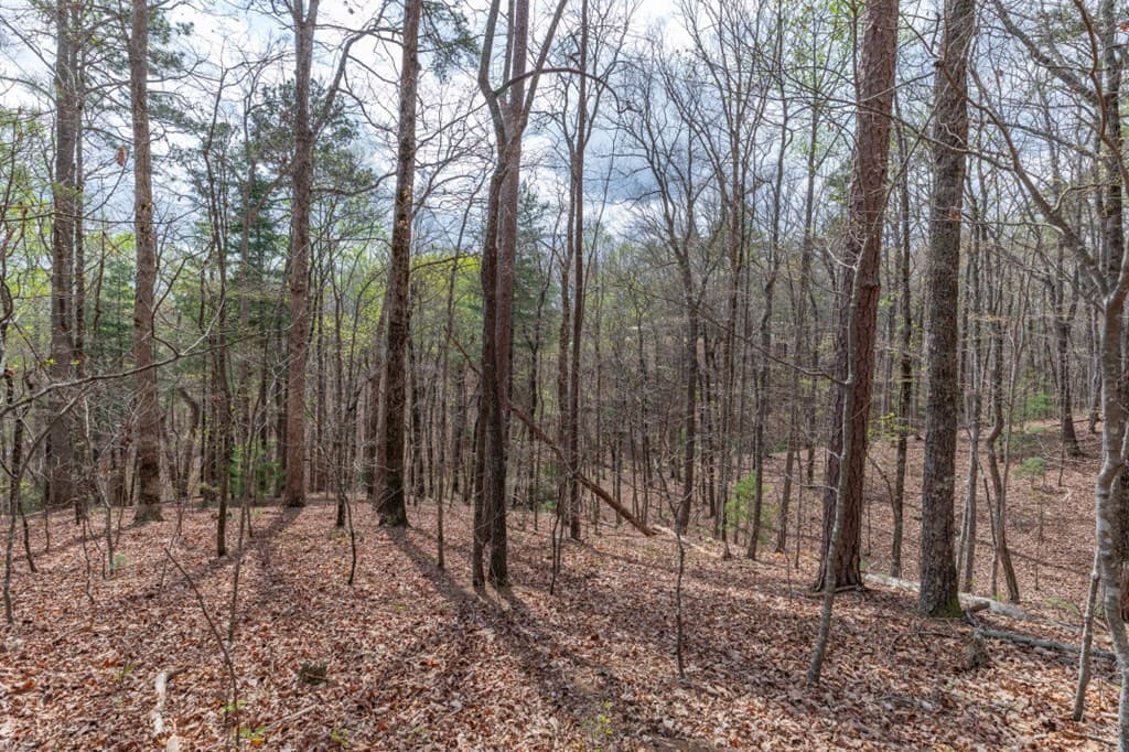 Lot 6B Glenridge Way, Ellijay GA 30540 - Photo