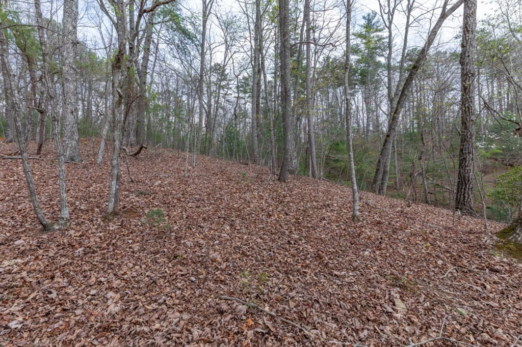 Lot 6B Glenridge Way, Ellijay GA 30540 - Photo
