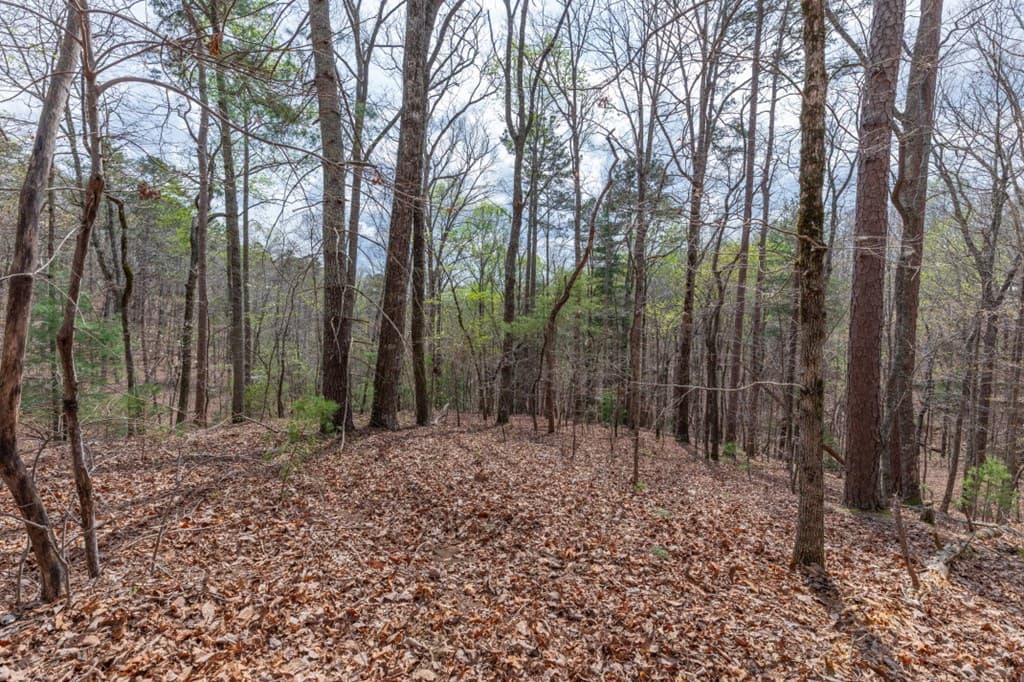 Lot 6B Glenridge Way, Ellijay GA 30540 - Photo