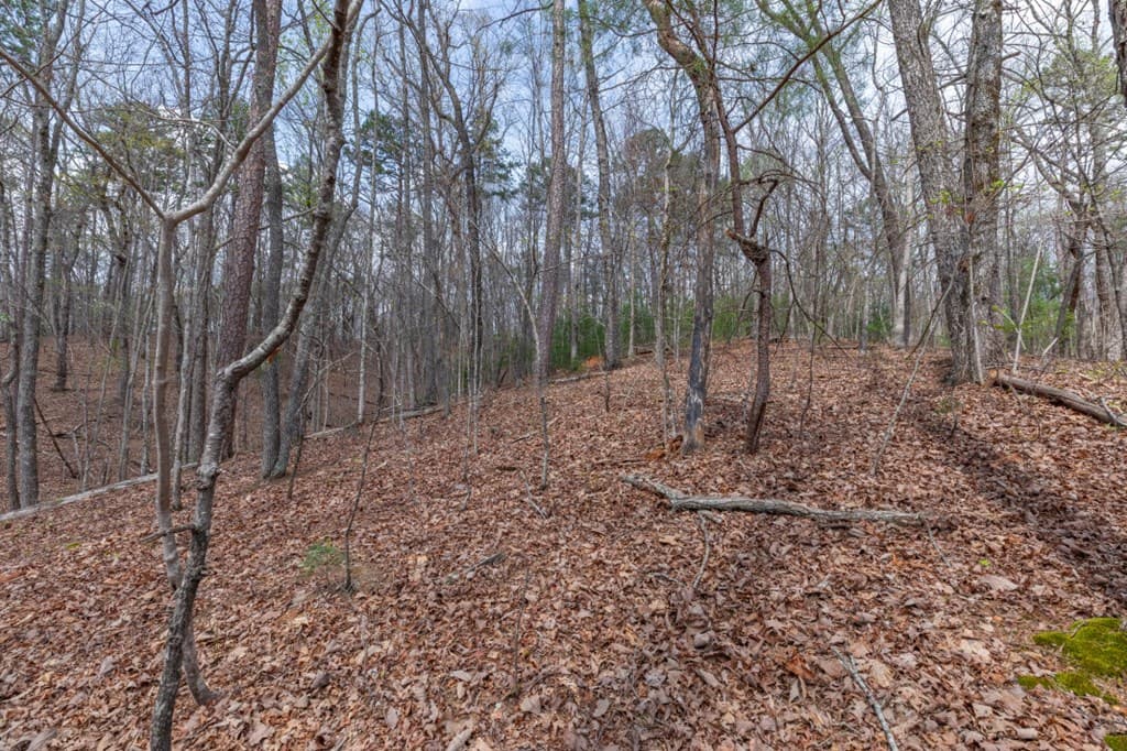 Lot 6B Glenridge Way, Ellijay GA 30540 - Photo