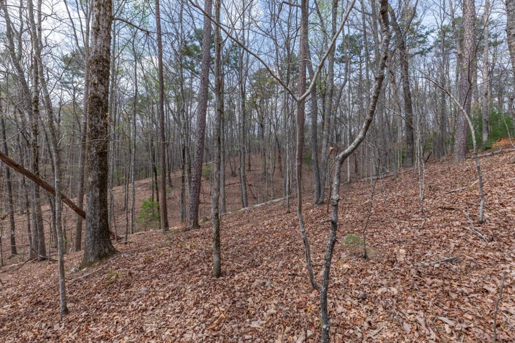 Lot 6B Glenridge Way, Ellijay GA 30540 - Photo