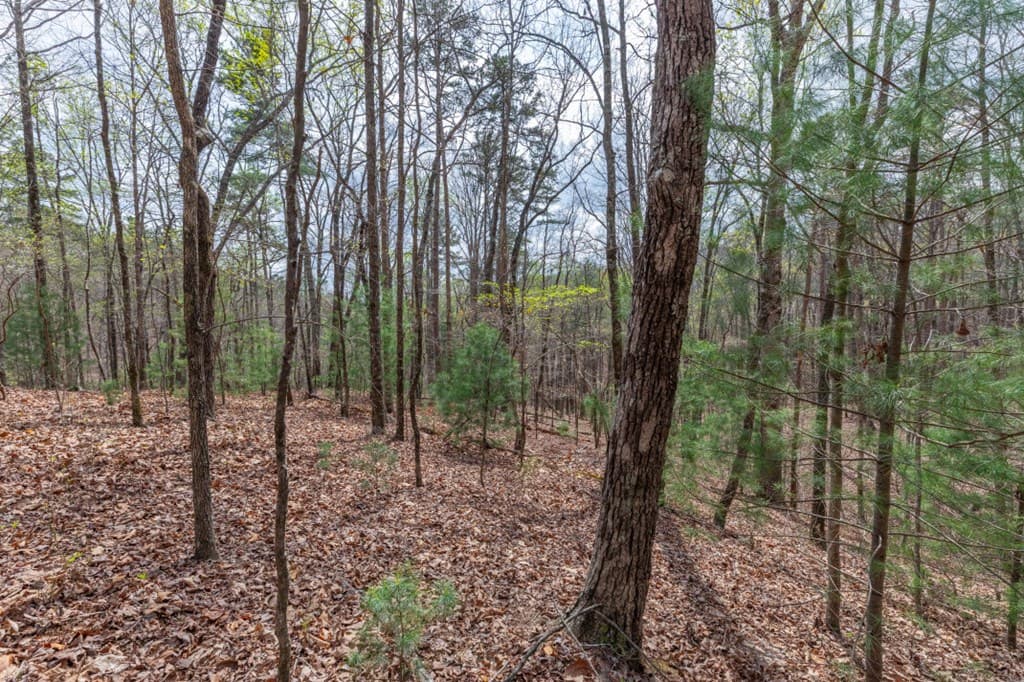 Lot 6B Glenridge Way, Ellijay GA 30540 - Photo