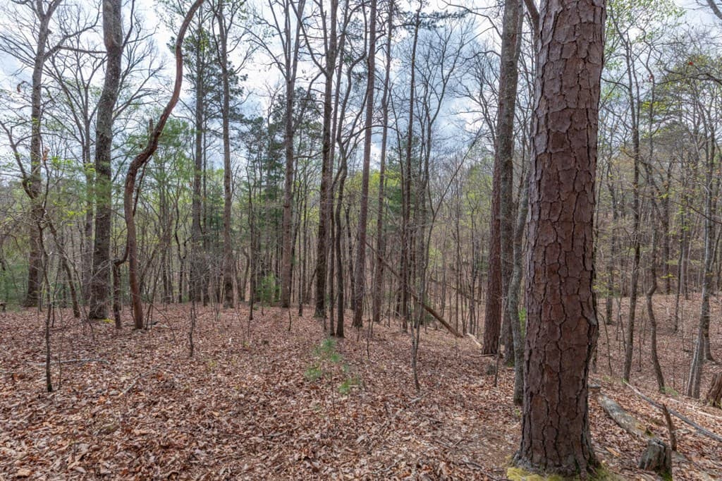 Lot 6B Glenridge Way, Ellijay GA 30540 - Photo