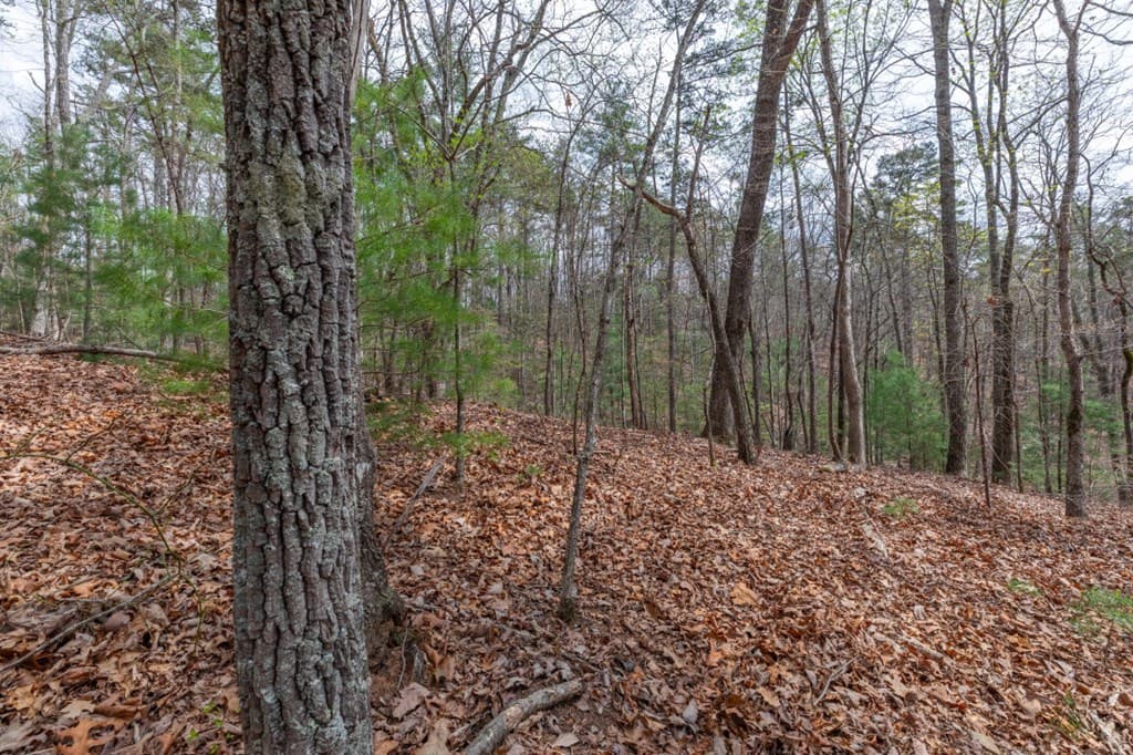 Lot 6B Glenridge Way, Ellijay GA 30540 - Photo