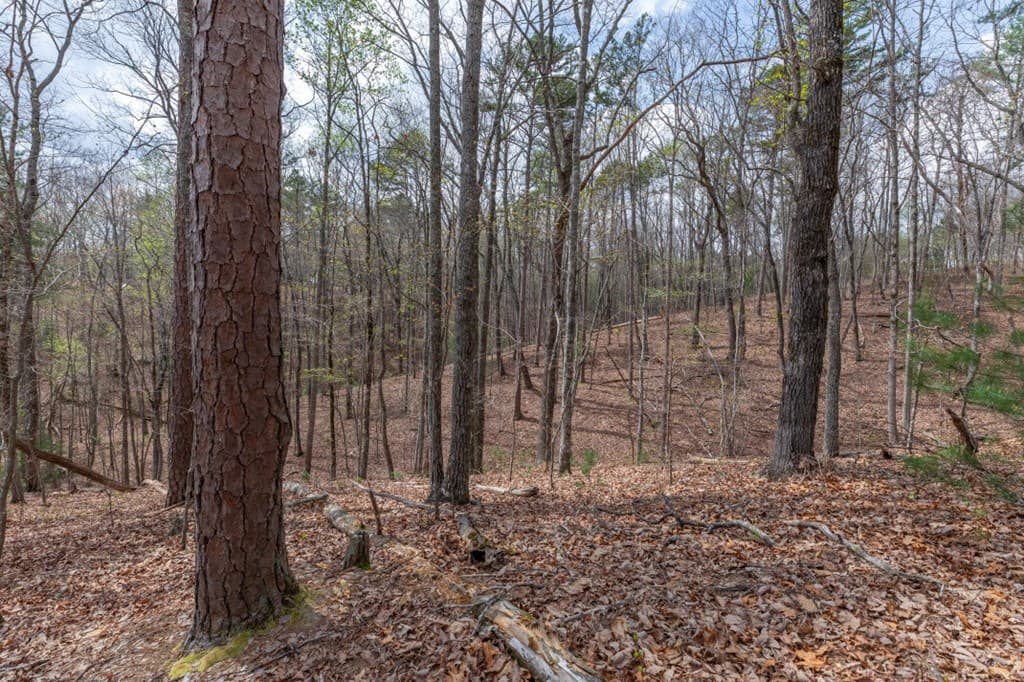 Lot 6B Glenridge Way, Ellijay GA 30540 - Photo