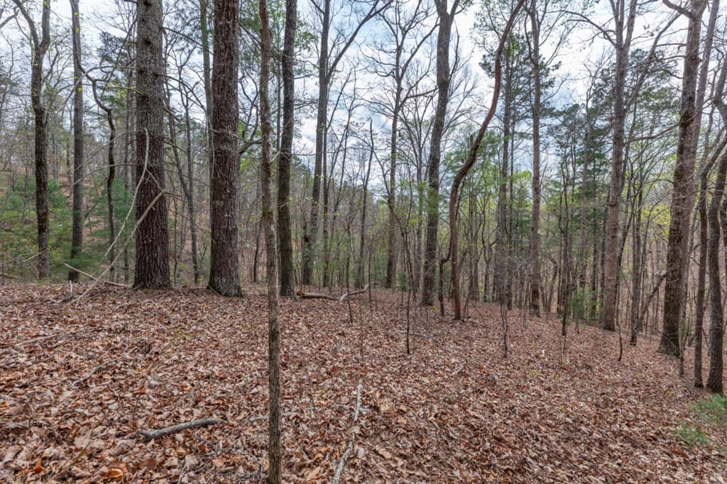 Lot 6B Glenridge Way, Ellijay GA 30540 - Photo