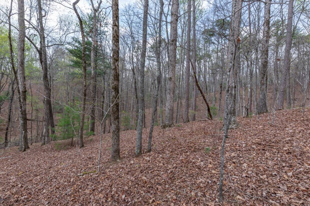 Lot 6B Glenridge Way, Ellijay GA 30540 - Photo