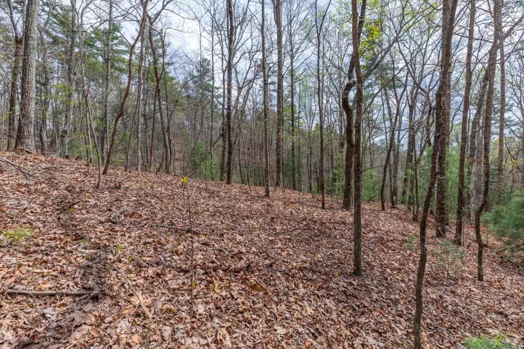 Lot 6B Glenridge Way, Ellijay GA 30540 - Photo