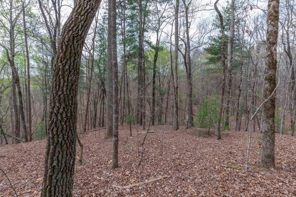 Lot 6B Glenridge Way, Ellijay GA 30540 - Photo