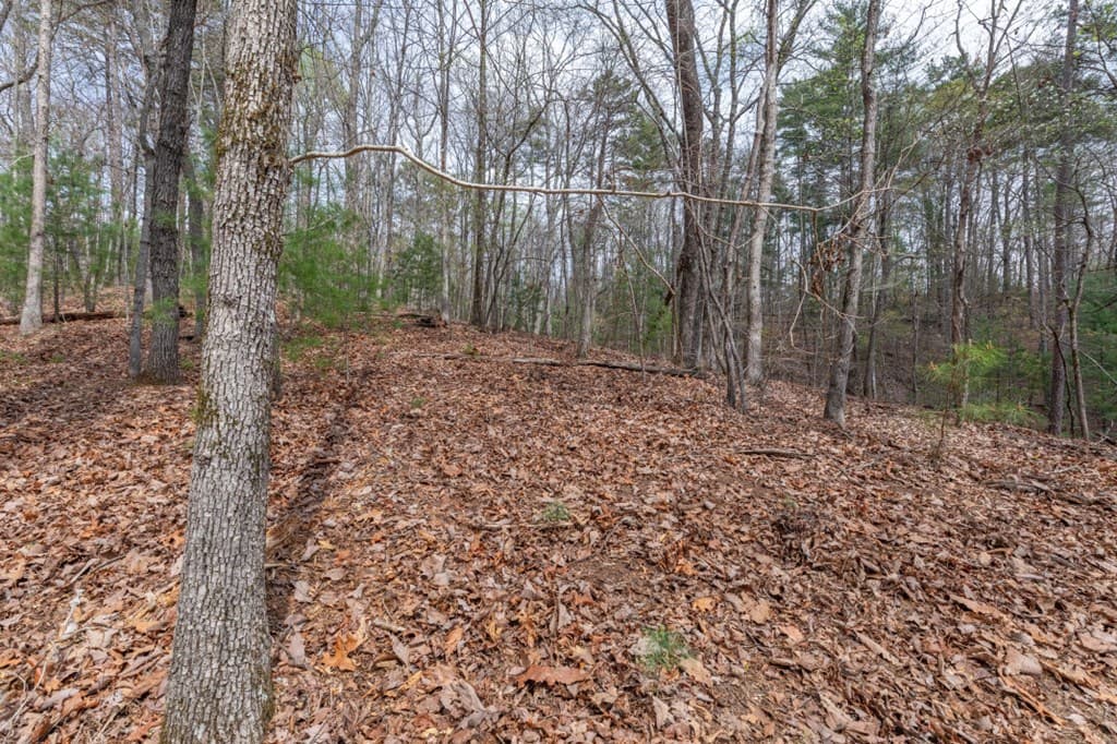 Lot 6B Glenridge Way, Ellijay GA 30540 - Photo