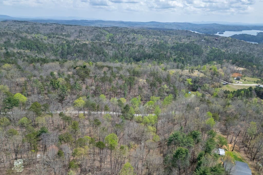 Lot 6B Glenridge Way, Ellijay GA 30540 - Photo